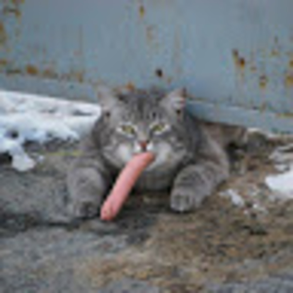 Meet your Posher, Dickey